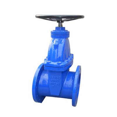 Soft seal gate valve 1021