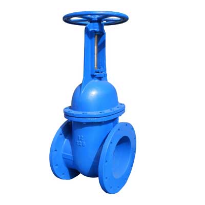 Gate Valve Rising Stem 1027