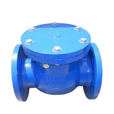 Check Valve Swing Type 1029